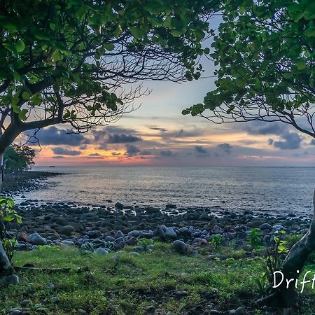 Driftwood Hostel And Bungalows 高龙撒冷岛 外观 照片