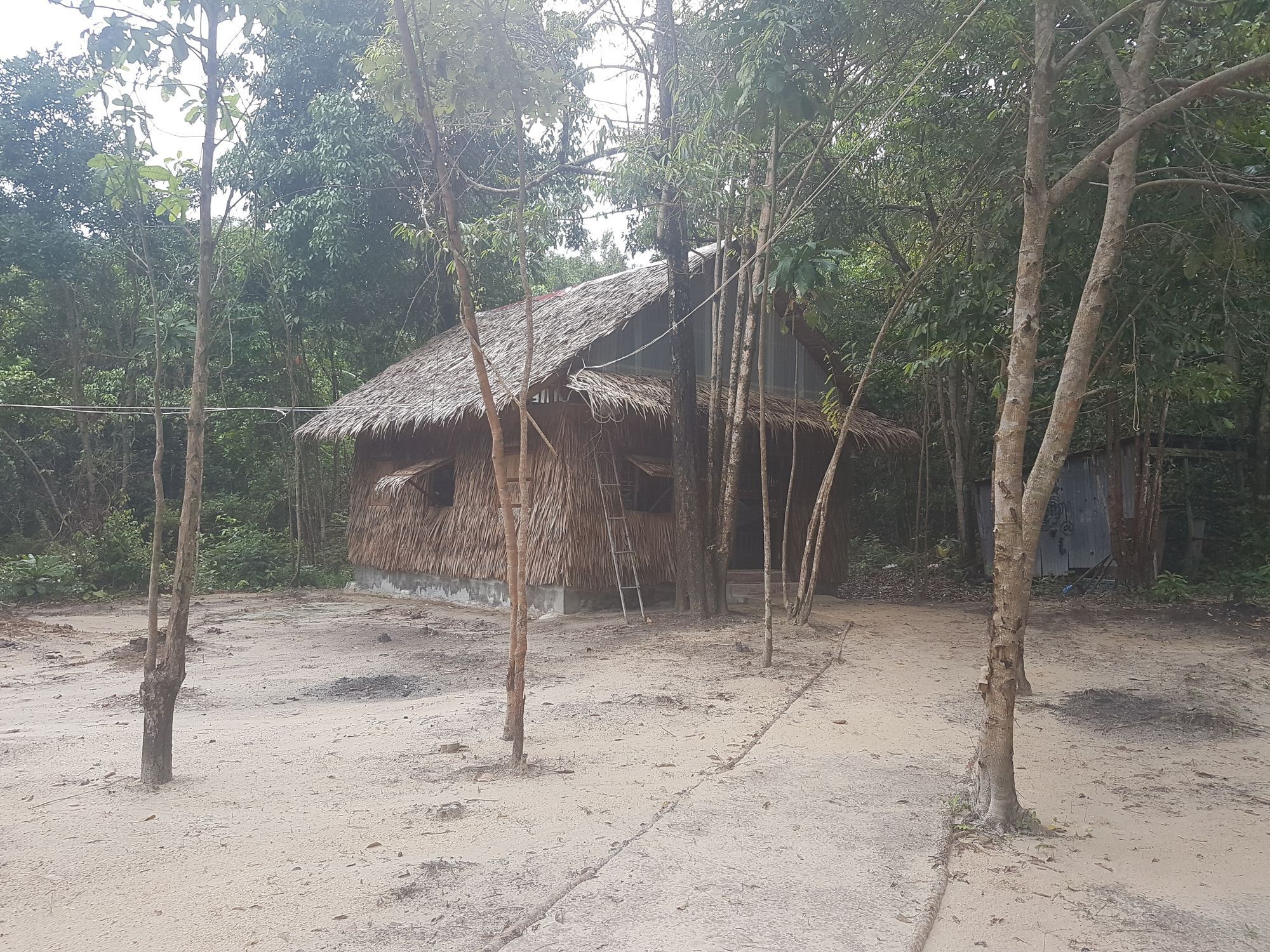 Driftwood Hostel And Bungalows 高龙撒冷岛 外观 照片