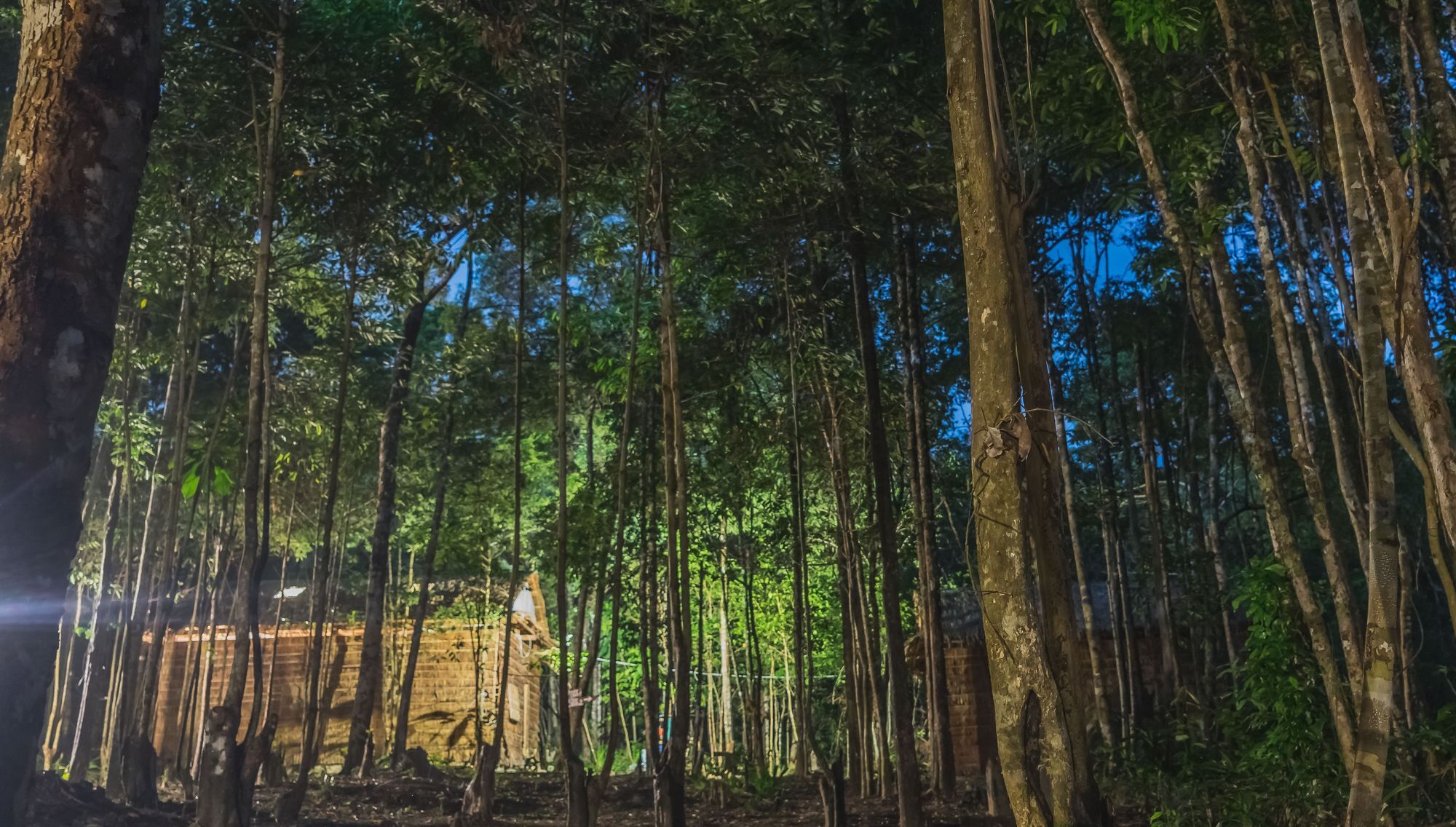 Driftwood Hostel And Bungalows 高龙撒冷岛 外观 照片