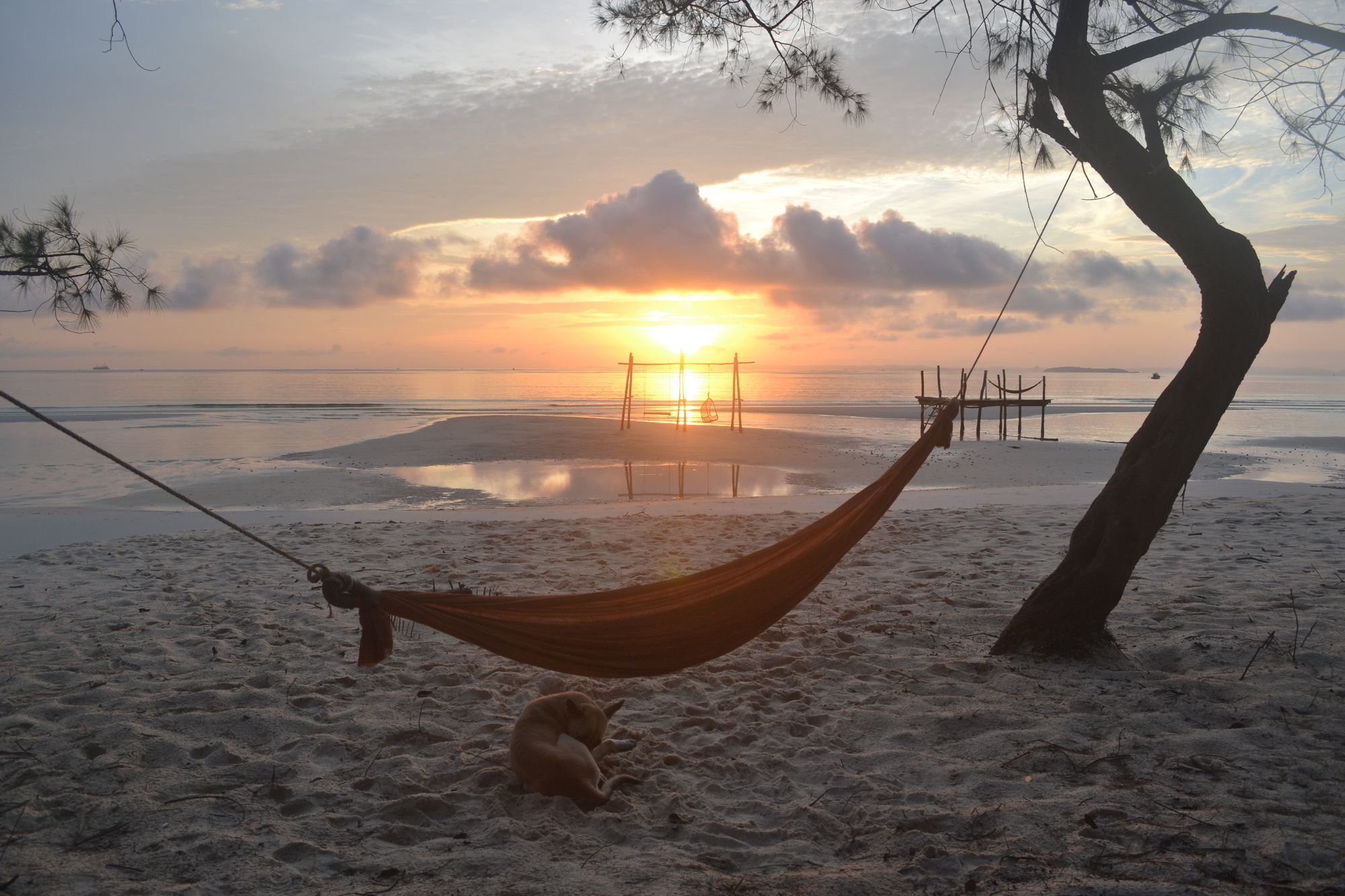 Driftwood Hostel And Bungalows 高龙撒冷岛 外观 照片