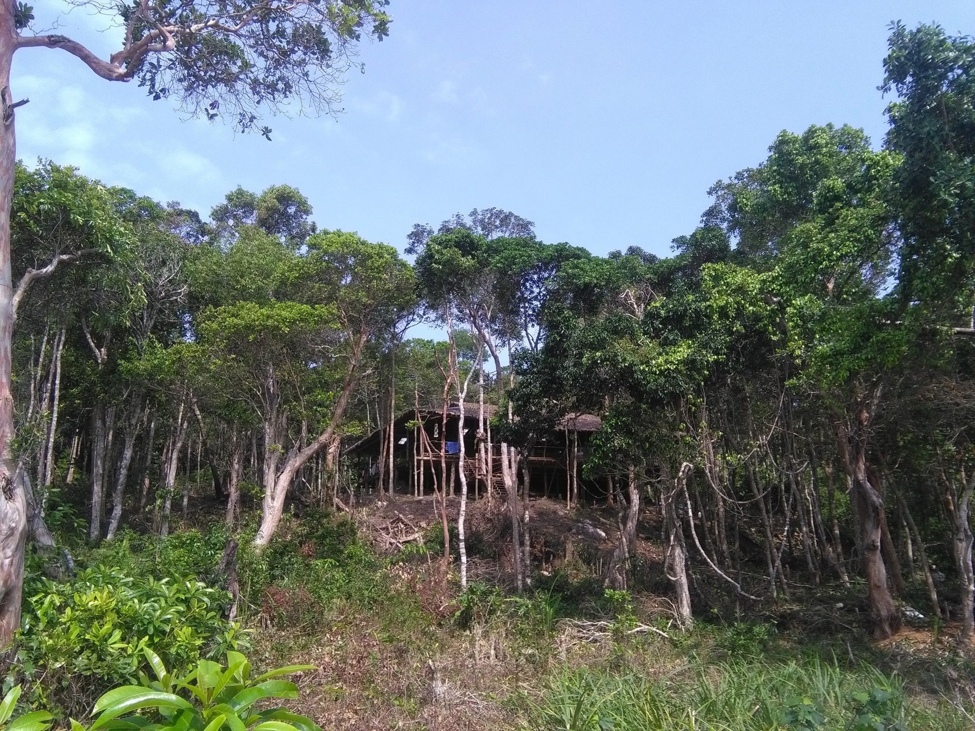 Driftwood Hostel And Bungalows 高龙撒冷岛 外观 照片